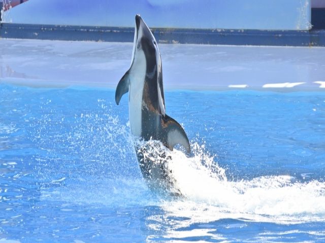 休日は観光も楽しめますよ～♪