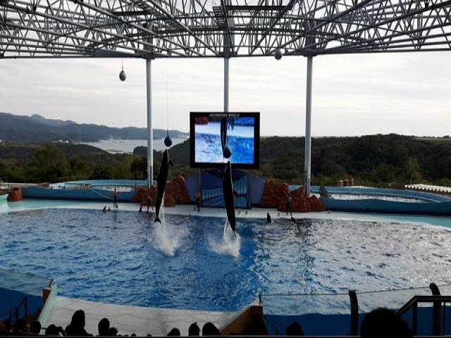 アドベンチャーワールド♪