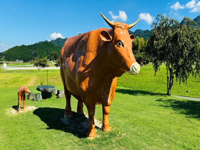 人気エリア黒川温泉でのお仕事です！