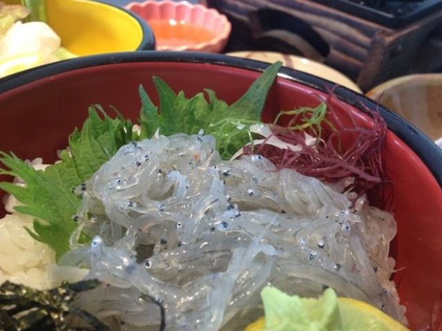 しらす、ふぐ、ハモ、玉ねぎなど名産もたくさん！