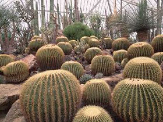 伊豆シャボテン動物公園もすぐ近くです！！