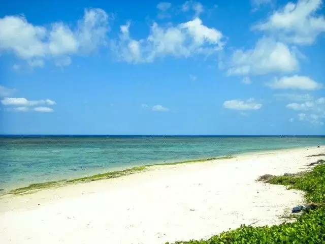 石垣島のとてもきれいな海でのお仕事♪