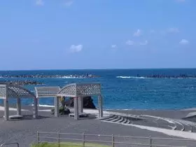 ホエールウォッチングを出来る機会もあるかも！？