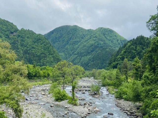 お気に入りのカフェや、散歩コースができたりと楽しさがあります！