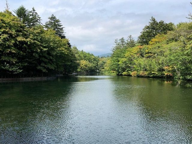 自然豊かな尾瀬の夏を楽しみたい方、必見！