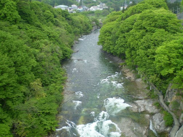 自然に癒されながら非日常を味わいたい方は是非っ
