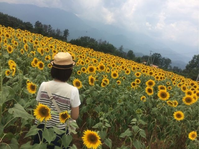 夏の北海道も魅力がたくさん！