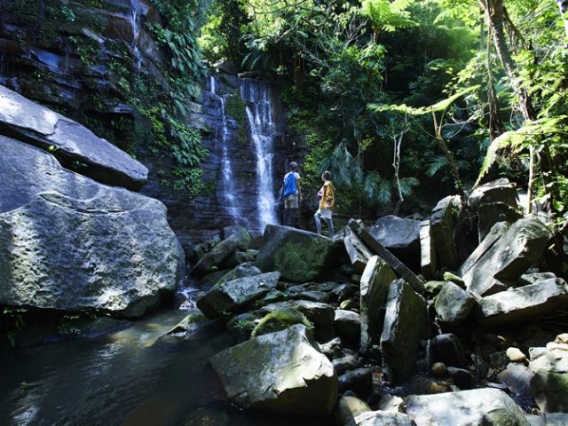 西表島には滝が大中小100カ所ほどあります。休みの日に滝めぐりもありかも！？