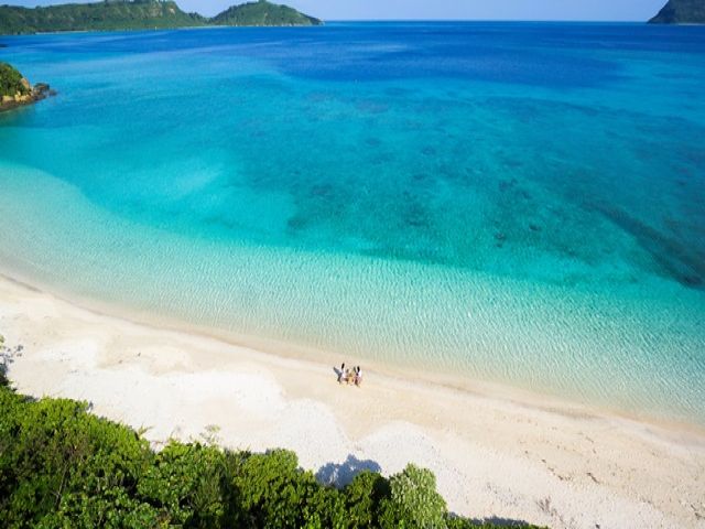 マングローブたくさん、映えスポットにも！！