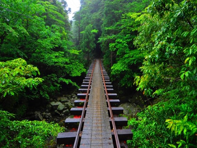 みなさんが島で撮ったお勧めの1枚、見せてください！！