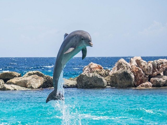 海が目の前♪水族館もあります！！