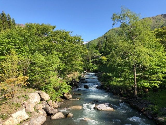 近くには朝市があります。
休みの日に散策してみてくださいね～！