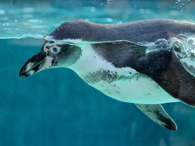 海が目の前♪水族館もあります！！