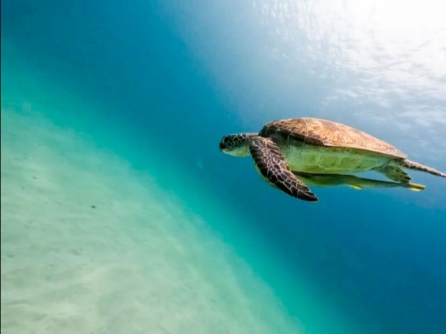 マリンショップも運営しているため、マリンアクティビティを格安でご利用いただけます(^^)/