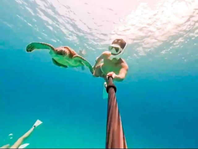 休日にはケラマブルーを満喫しましょう♪