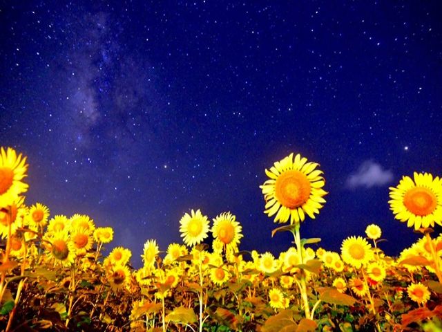 来間大橋を渡った先には夜空綺麗な自然溢れる島へと☆