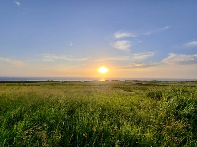 これぞさとうきび畑！！！素敵な景色が島一帯に広がっています☆