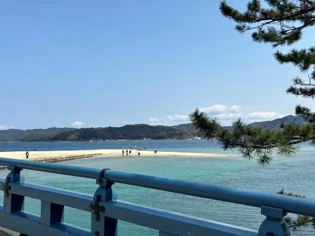 初めての方にもおすすめです。