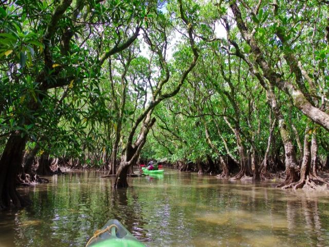 海だけではなく、緑豊かな表情もあるんです。
