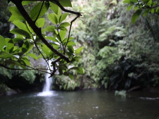 沖縄県今帰仁村で自然に囲まれてお仕事しましょう(^^)/