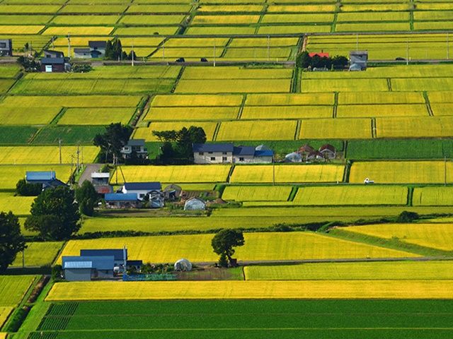 田園風景広がるのどかな町で忘れられないリゾバにしましょう！