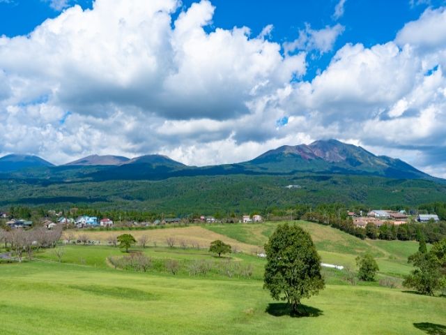 霧島の年末年始の求人出ました！職場環境も働きやすい環境です。