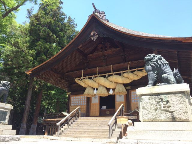 お諏訪様と呼ばれる諏訪神社の総本社☆お参りお参り！