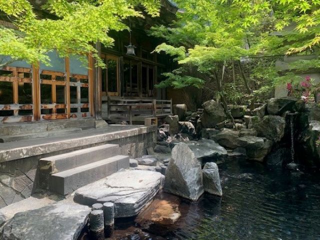 館内で見れる景色もすごい綺麗ですね！