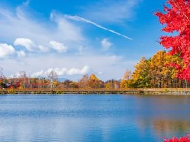 紅葉シーズン