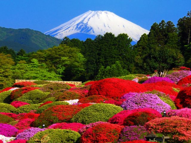 人気の箱根温泉のお仕事です