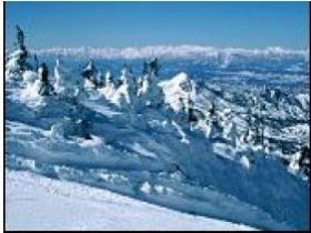 雄大な高原でお仕事はいかがですか？