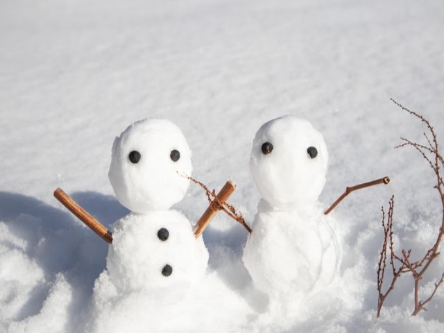 人気の志賀高原エリアです！！