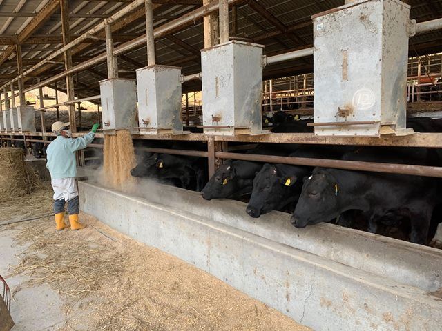 シフトも朝早くないので生活リズムは整います♪