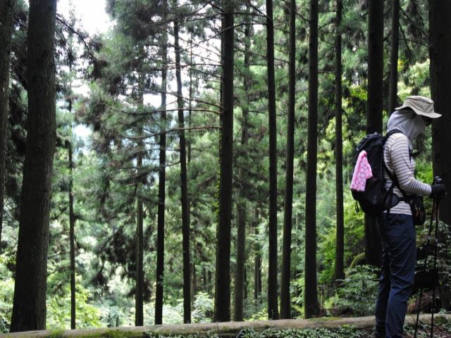 自然たっぷりの環境でお仕事しませんか？