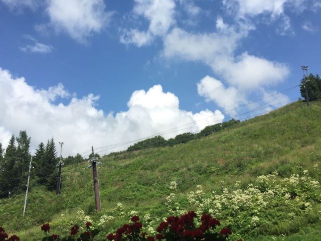 ～自然に囲まれ、のびのびと働きましょう～
夏は長野で過ごしてみませんか？