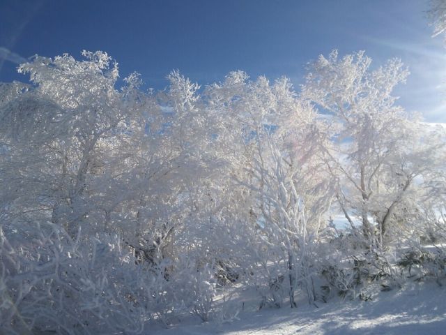 白銀の雪景色も最高！