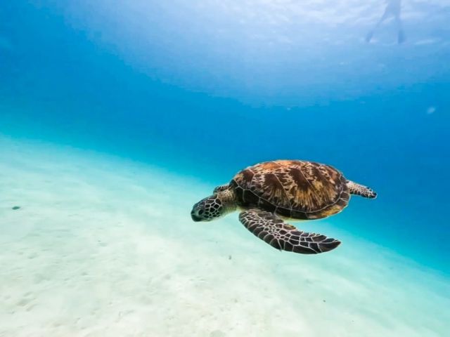 休日は海や周辺で落ち着いてゆっくり過ごせますよ(^^)/