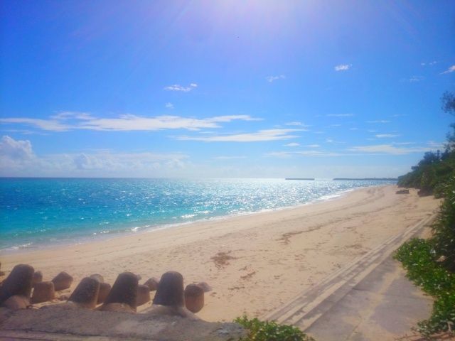沖縄県の求人で一番稼げるお仕事です！ぜひ一緒に働きましょう！