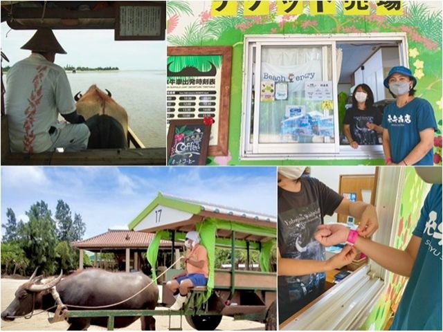 愛らしい水牛がこの島の主役★
ここでしか味わえない貴重な時間です！