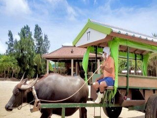 《先行募集》☆動物好きな方必見☆人気の≪水牛乗務員≫♪ここでしか体験できないお仕事です！！
