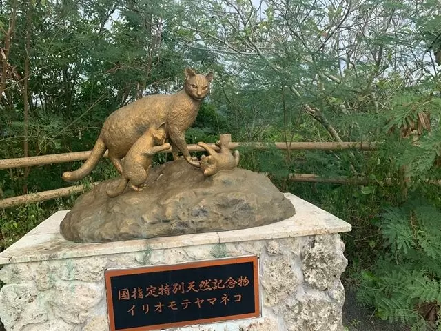 西表島は天然記念物の宝庫！！
世界自然遺産に登録されているとても希少な島です★
