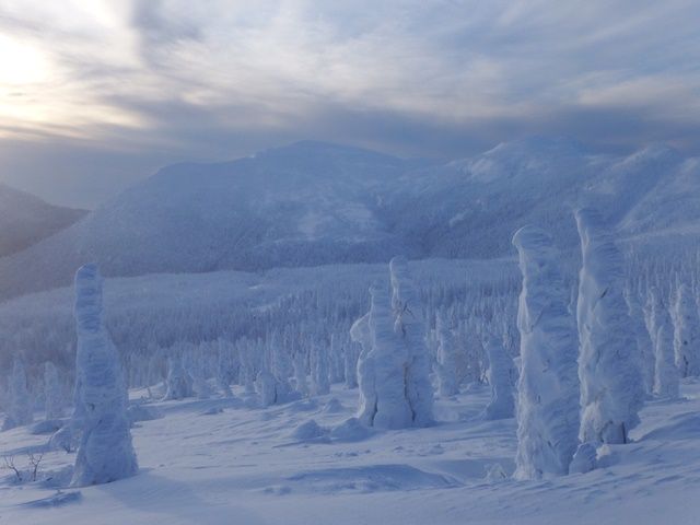 珍しい樹氷が見られるスキー場のお仕事！