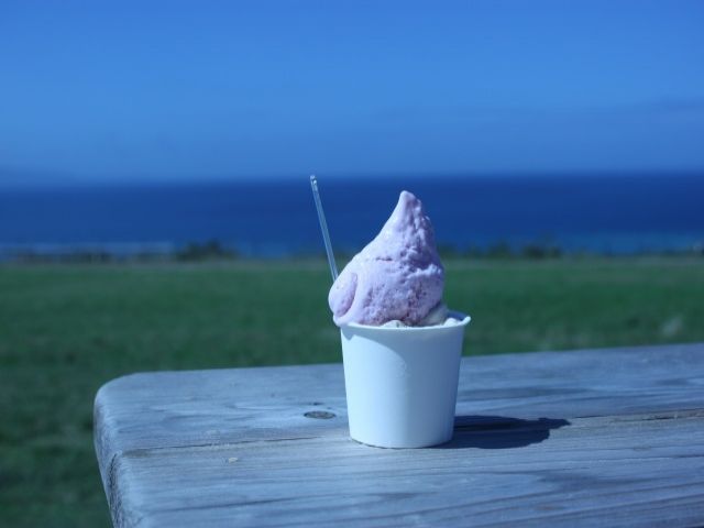 石垣島で有名なジェラート屋さんで働きませんか(^^♪