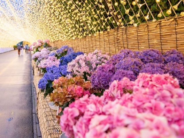 日本最大級のお花のテーマパーク☆
敷地内に多数ある飲食店のホールのお仕事です。
