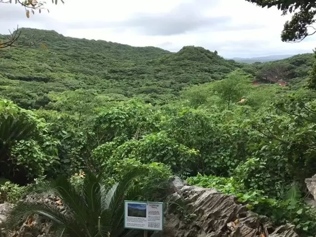 職場は本島最北端のリゾートホテル★調理に興味ある方、お待ちしてます♪