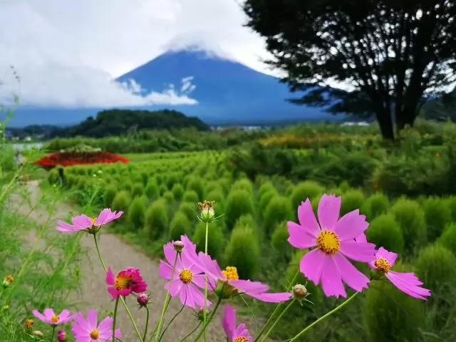 季節によって雰囲気が変わるのも
箱根の魅力ですよね
