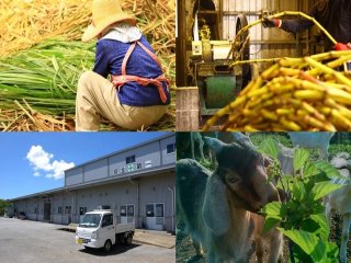 ≪小浜島≫大型特殊自動車免許所有者の方は経験活かせます♪期間限定求人です！