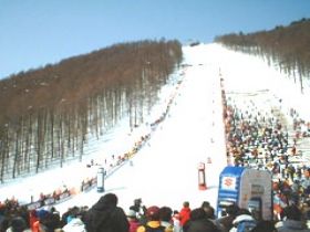 ゲレンデがあるので休日はスノボが可能☆