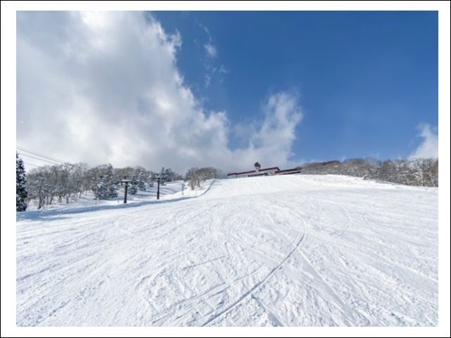 積雪も豊富なエリア