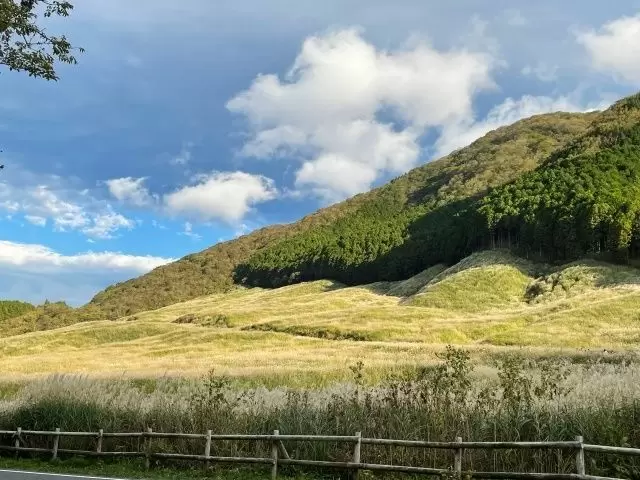 お休みの日は箱根観光でリフレッシュ！